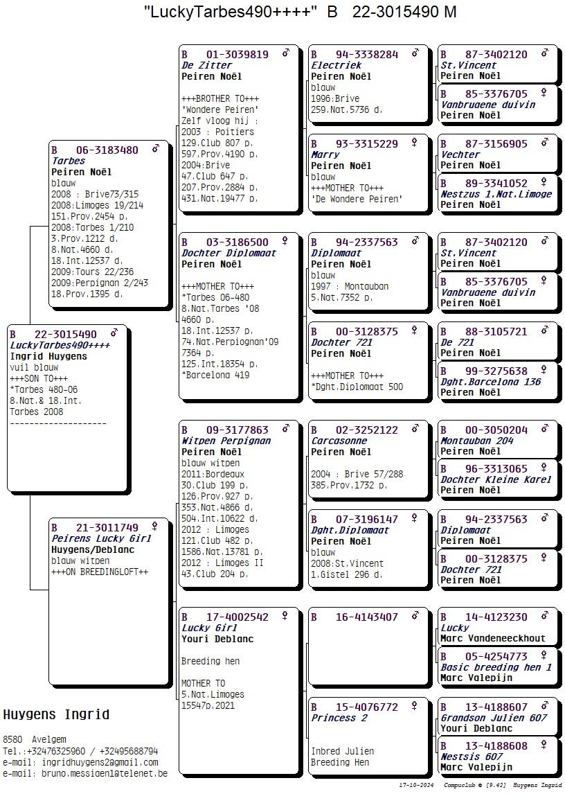 pedigree Zoon Tarbes (Peiren) 3. Prov, 8. Nat 18. Int-Nat Tarbes
