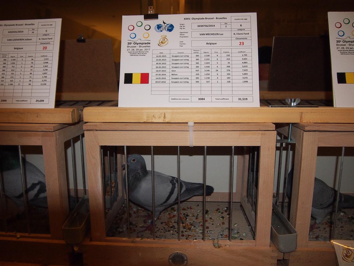 2017-01-28-olympiade-sport-19-vanmechelenluc.jpg