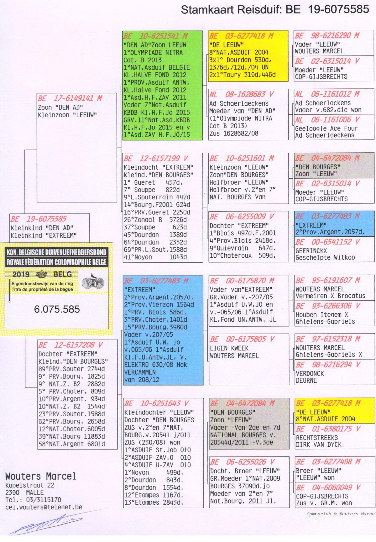 wouters-marcel-be19-6075585-pedigree.jpg