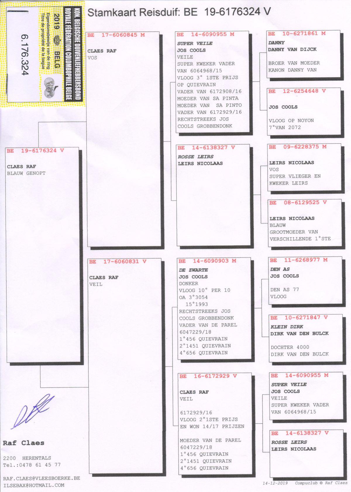 hok-claes-raf-be19-6176324-v-pedigree.jpg