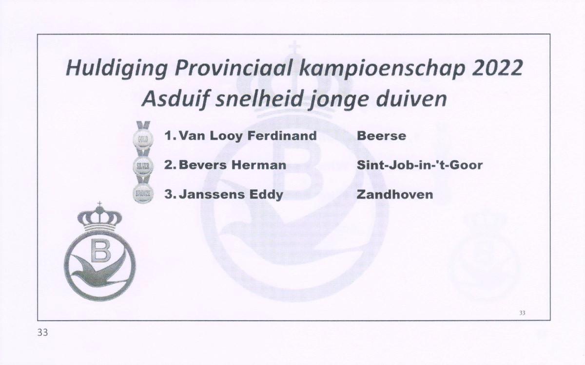 pitts-2022-pitts-pe-antwerpen-asduif-snelheid-jonge-pitts.jpg