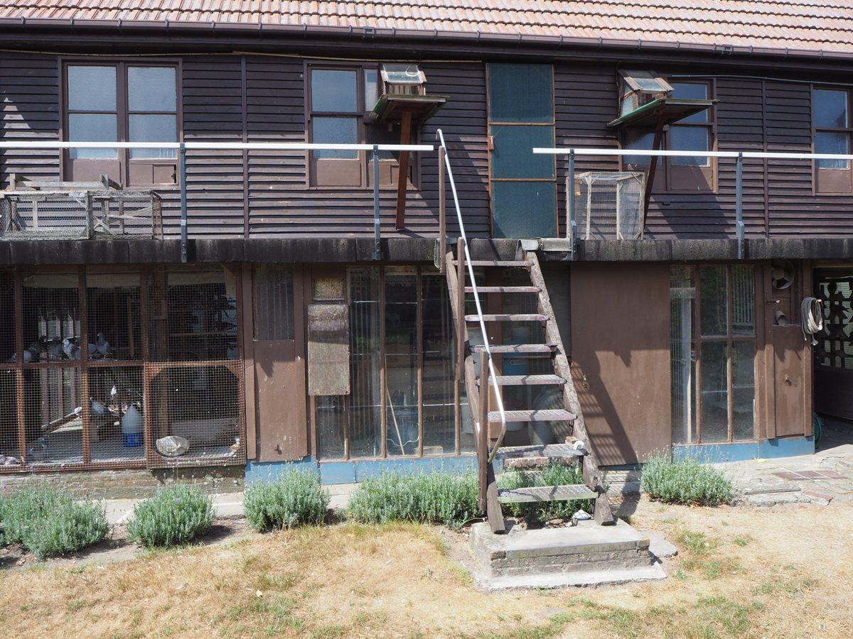 2018-07-28-dewilderboeykens-hokken-1.jpg