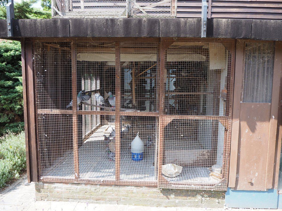 2018-07-28-dewilderboeykens-hokken-5.jpg