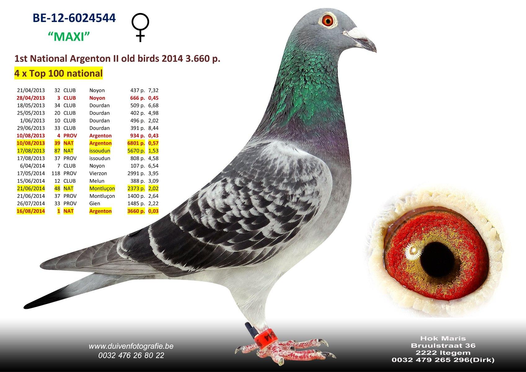 be12-6024544-maxi-foto.jpg