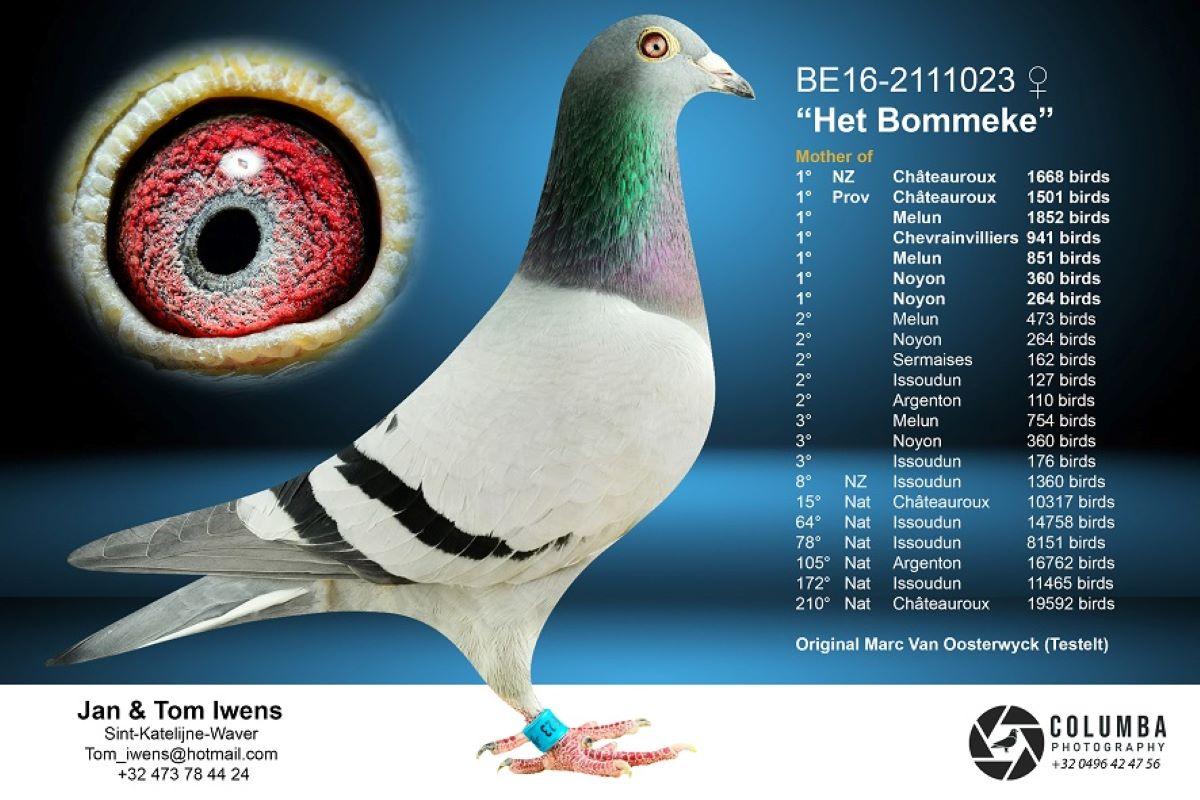 pitts-iwens-jt-pitts-be16-2111023-het-bommeke-foto1.jpg