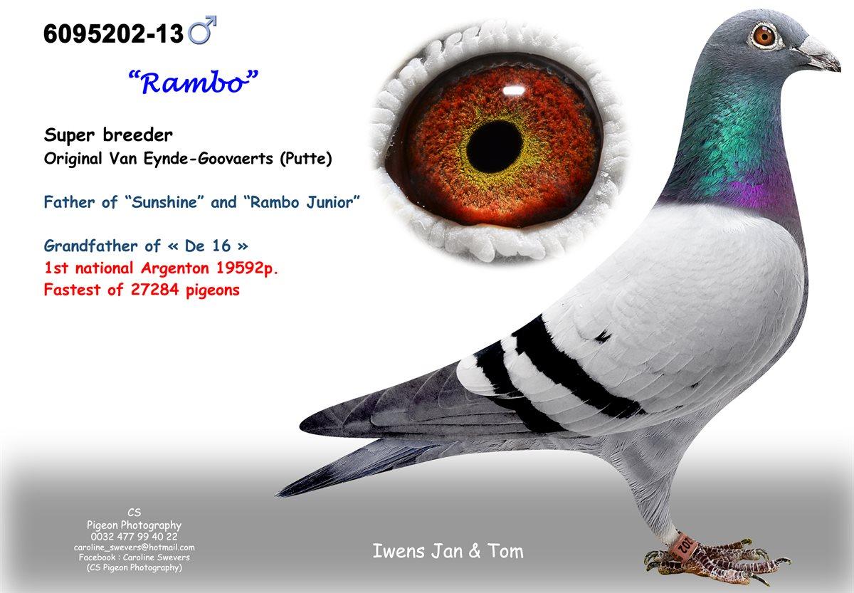 305551-6095202-13-thumbm.jpg