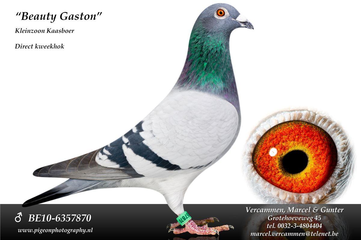 pitts-be10-6357870-beauty-gaston-foto.jpg