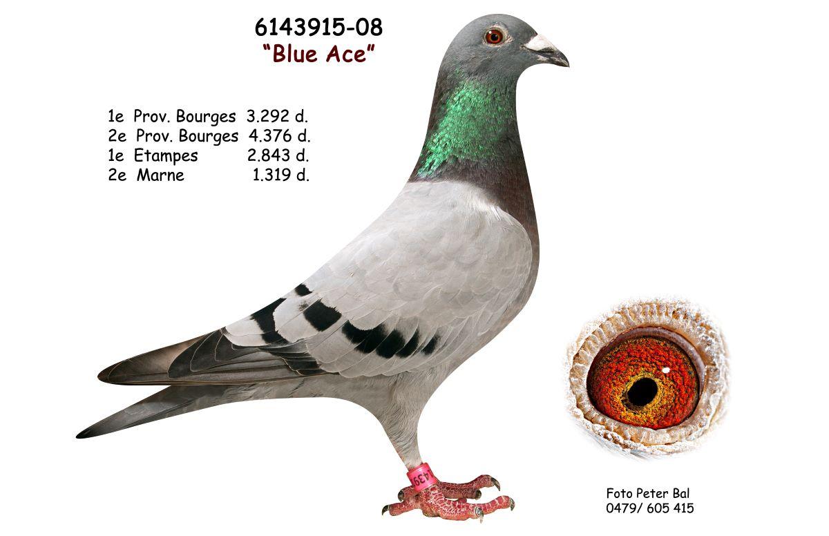 pitts-be08-6143915-blue-ace-pitts-foto-pitts.jpg