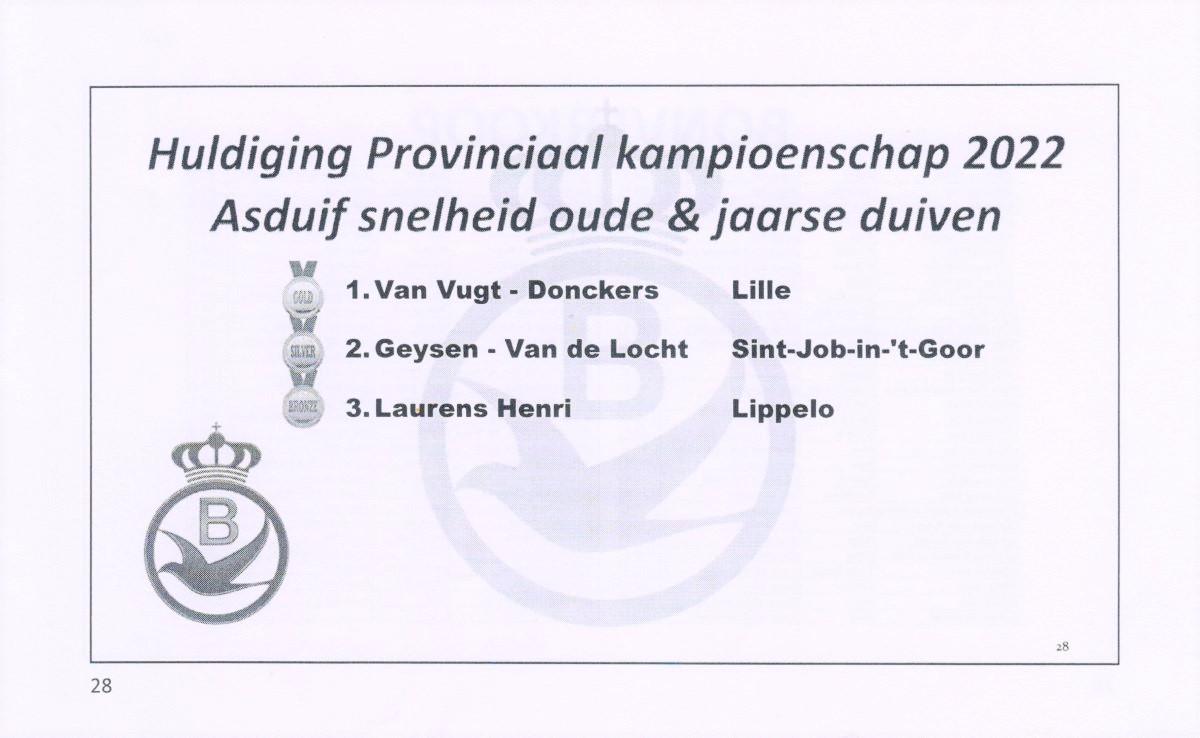 pitts-2022-pitts-pe-antwerpen-asduif-snelheid-oudejaarse-pitts.jpg