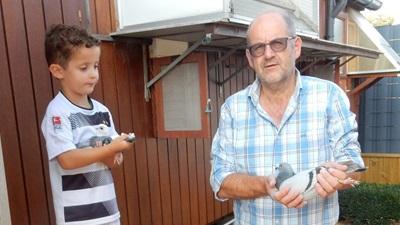 (HokRepo) Frank Neven uit Ulbeek: Top-Noteringen & ereprijzen
