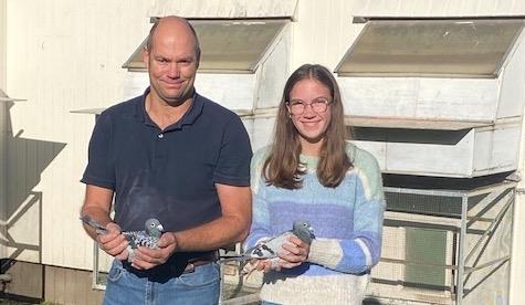 Davy & Amber Verleije (Damme): gevestigde waarde op keiharde vluchten