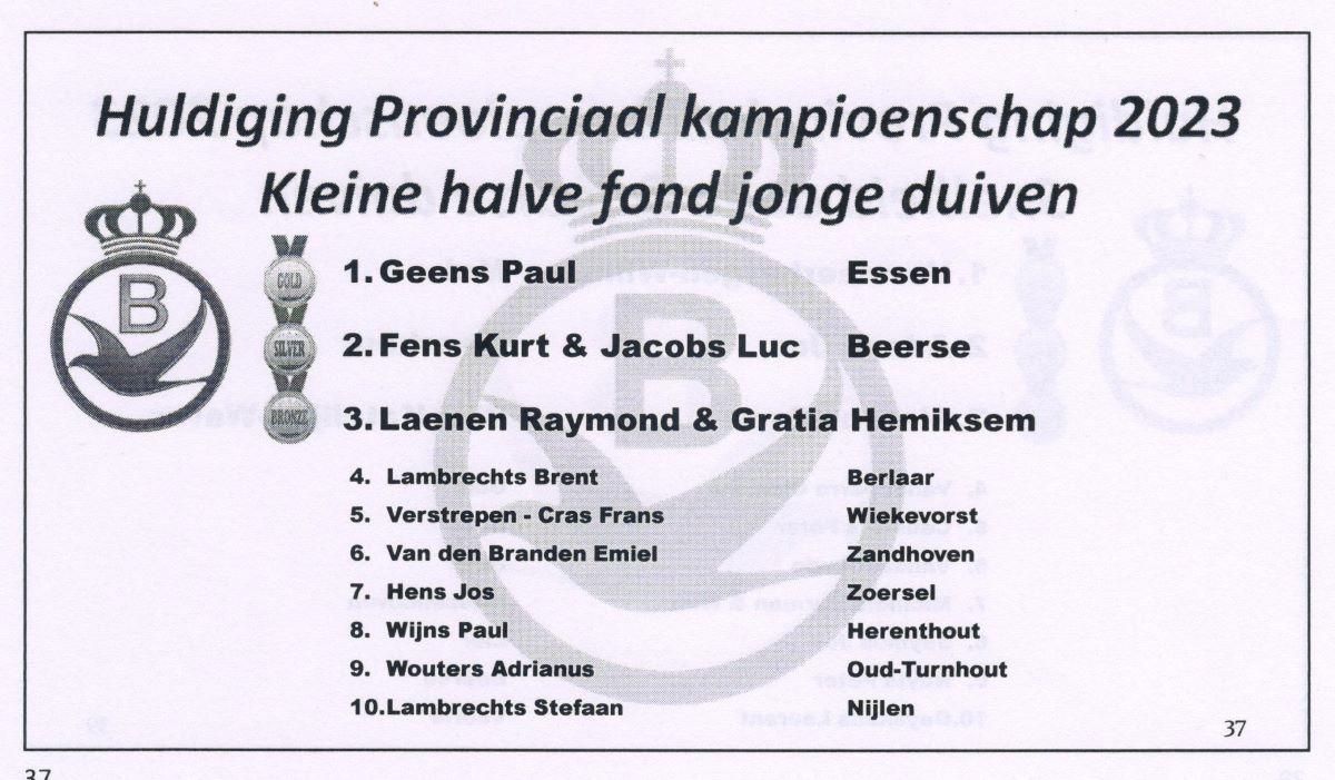 pitts-2023-12-09-pitts-pe-antwerpen-provinciaal-kampioenschap-kleine-hafo-jonge.jpg