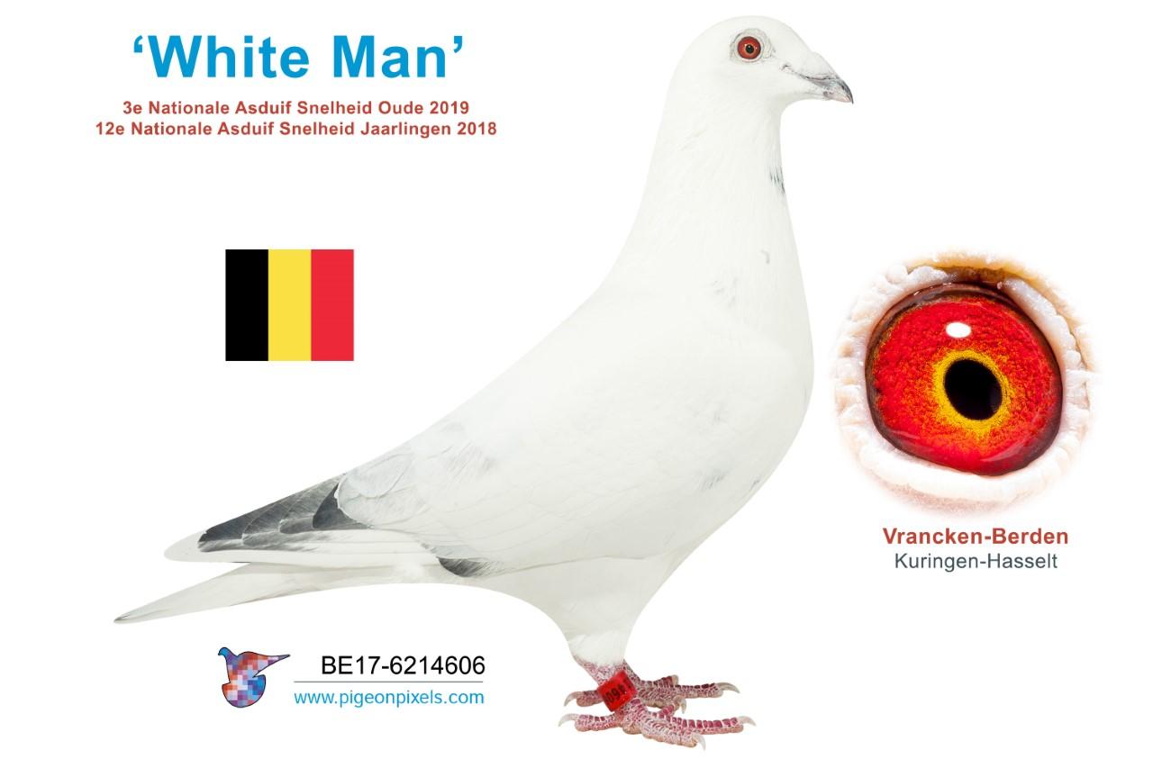 thumbnail_be17-6214606.jpg