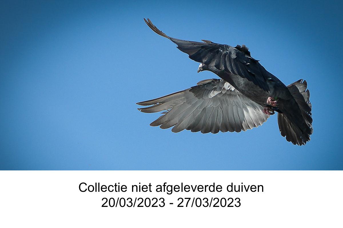 Collectie niet afgeleverde duiven