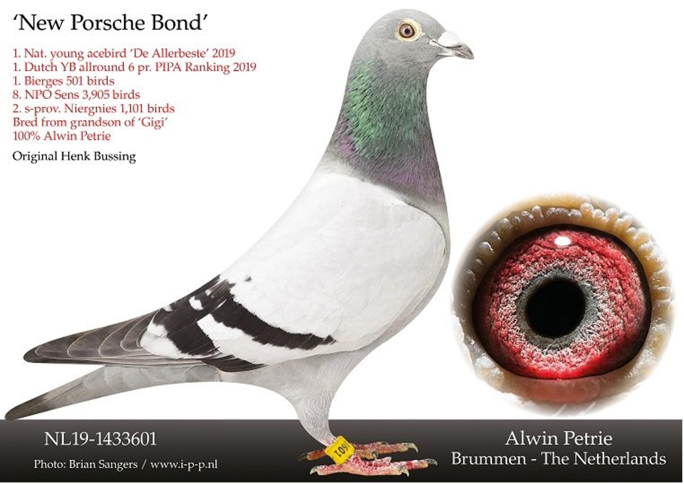 bew-porsche-bond.jpg