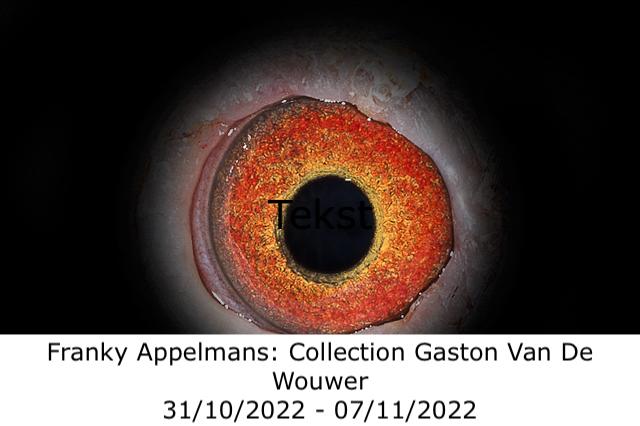 franky-appelmans.jpg