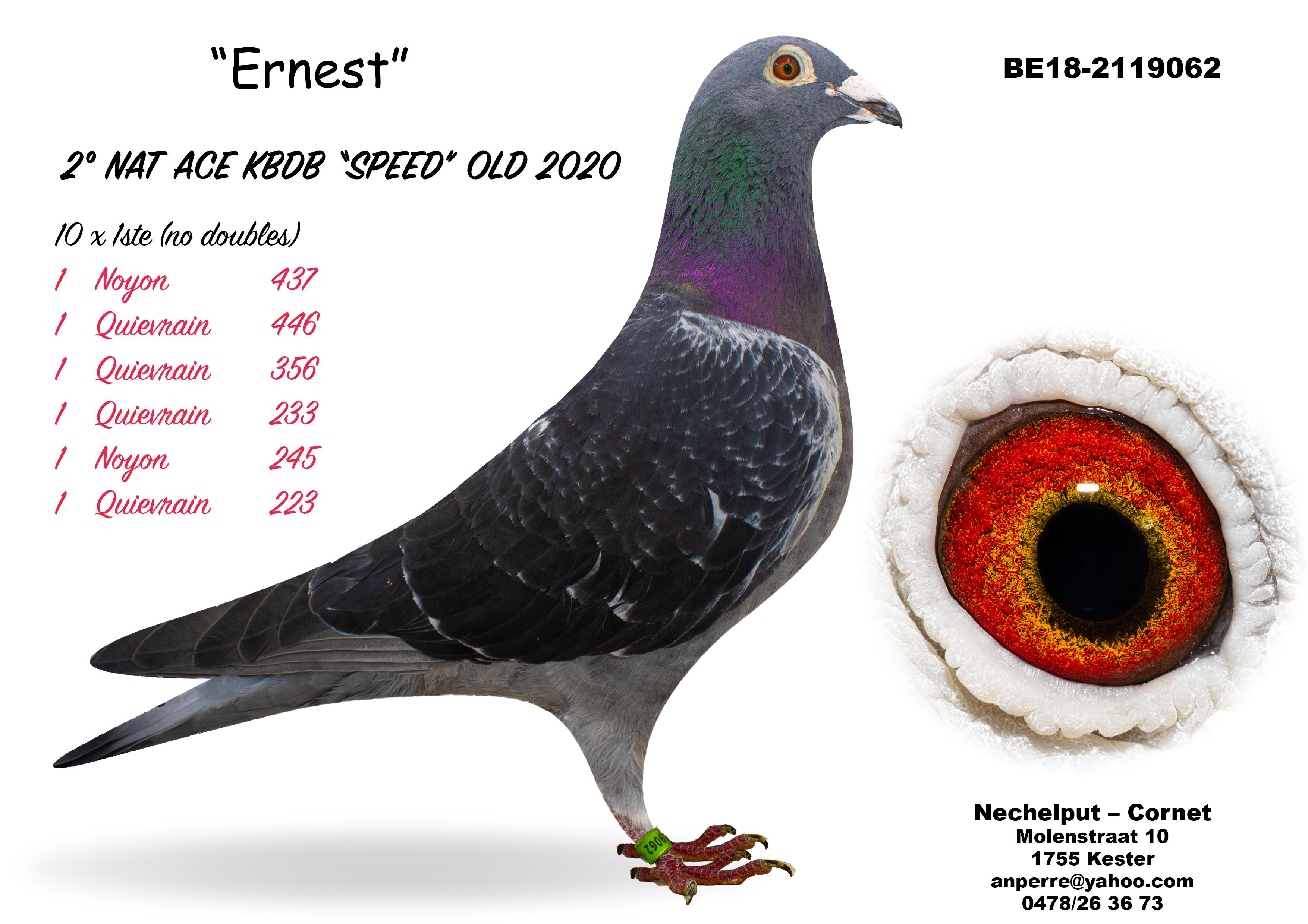 be18-2119062-tekst.jpg