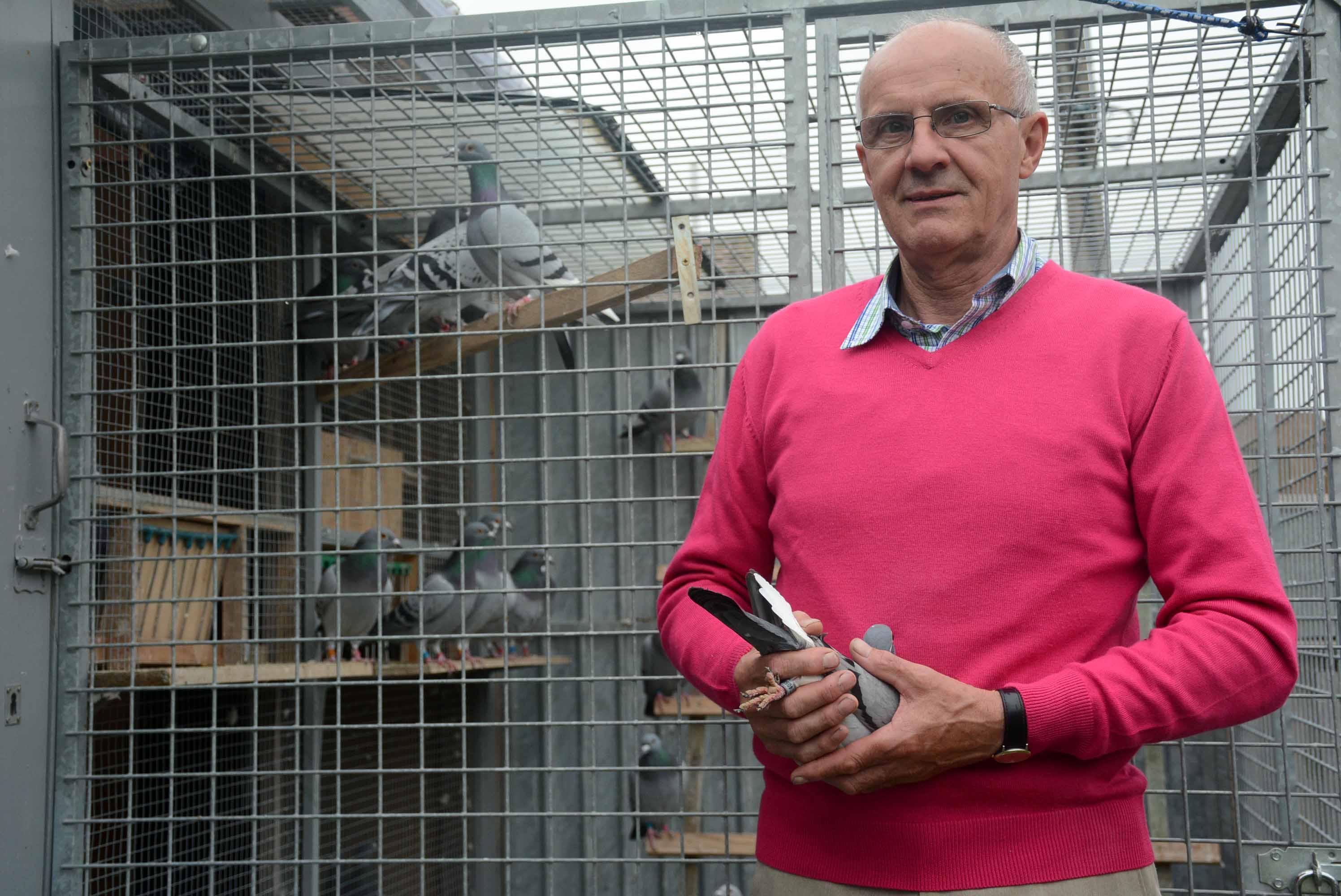 Andre Van Haute: nationale top op de zware halve fond