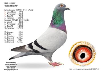 afbeelding1.jpg