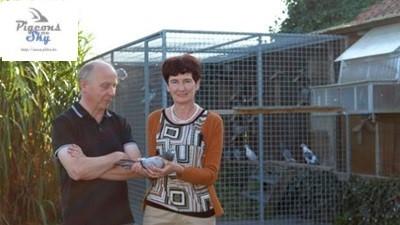(HokRepo) Yves Billiet uit Moorslede: 4ePR KAMP FOND & Top-Noteringen & ereprijzen
