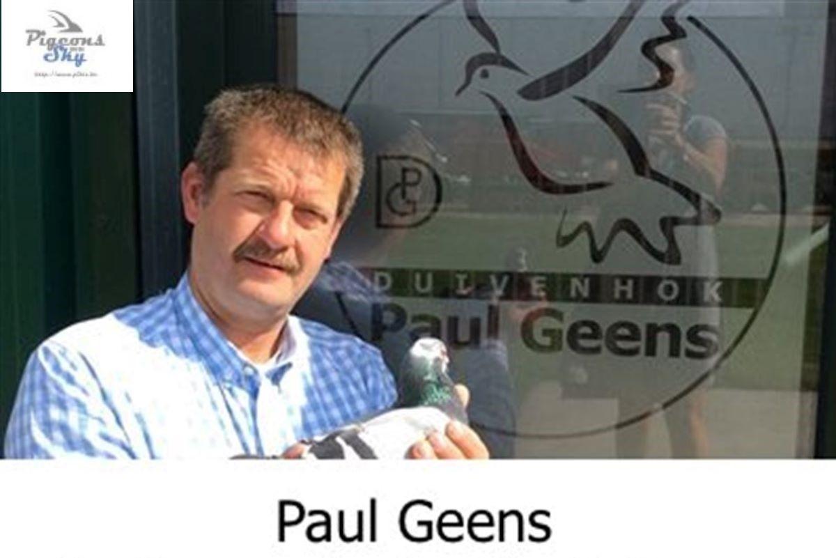 392060-geens-thumbm.jpg