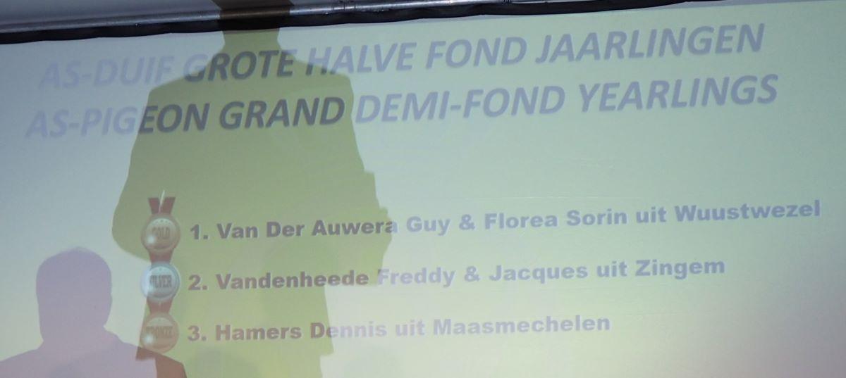 pitts-2019-11-09-natdagen-as-duif-grote-hafo-jaarlingen-1-2-3-1.jpg