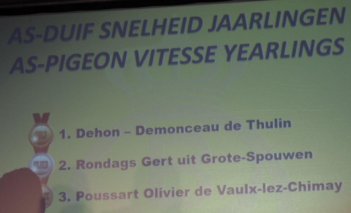 pitts-2019-11-09-natdagen-as-duif-snelheid-jaarlingen-1-2-3-1.jpg