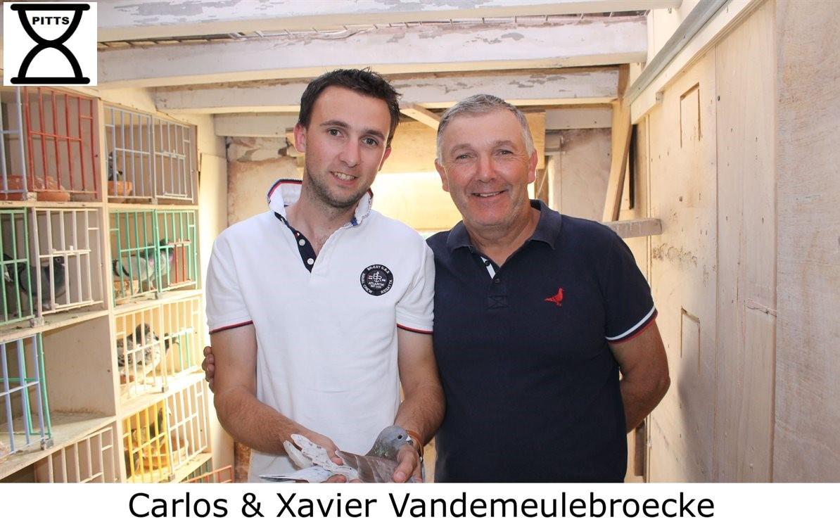 494107-carlos-xavier-vandemeulebroecke-thumbm.jpg