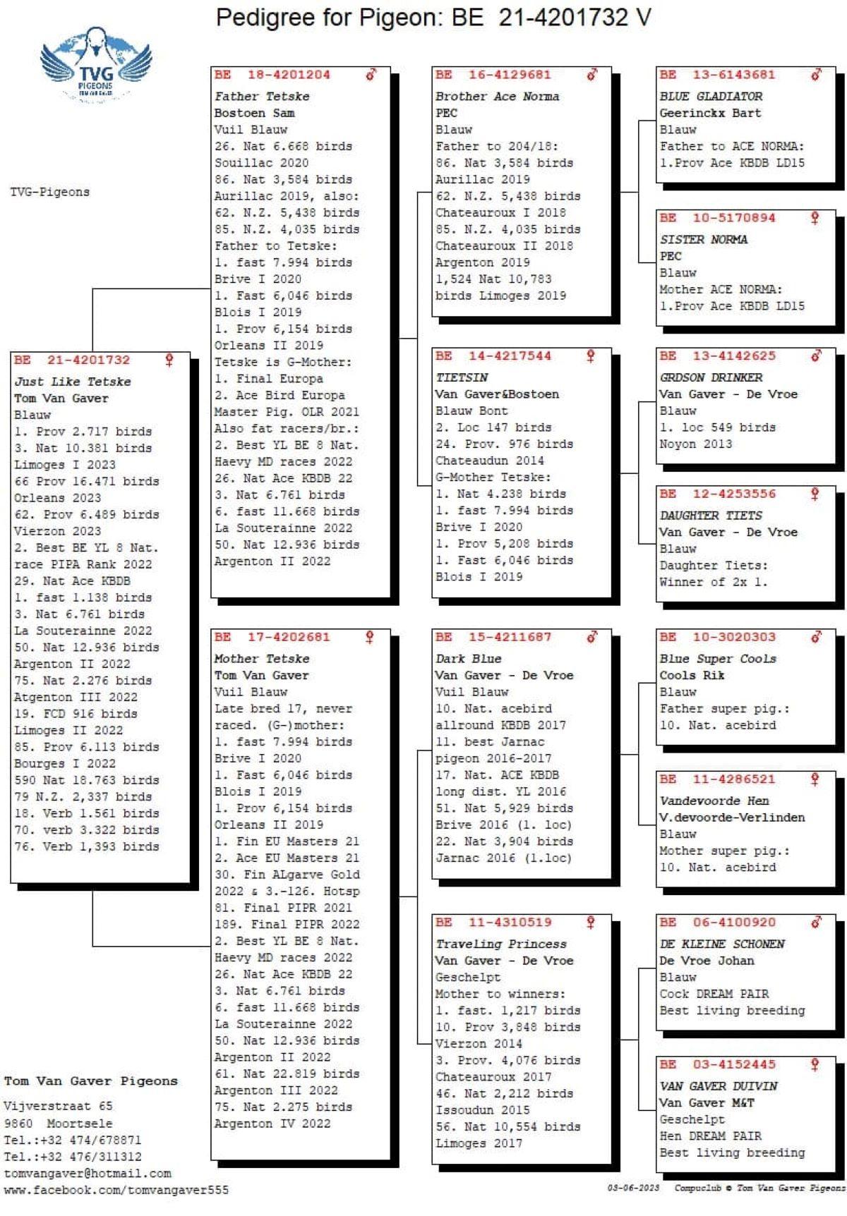 pitts-vangaver-tom-pitts-be21-4201732-just-like-tetske-pedigree.jpg