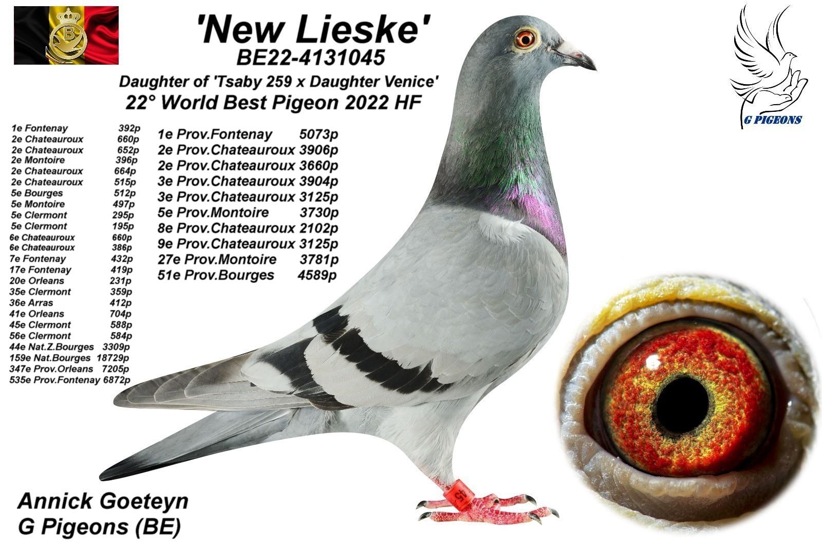BE22-4131045 'New Lieske' 2eOVV Chateauroux 17/06/23 & 3eOVV Chateauroux 3/06/23 & 44eA2 Bourges I 27/05/23 >Annick Goeteyn/G Pigeons