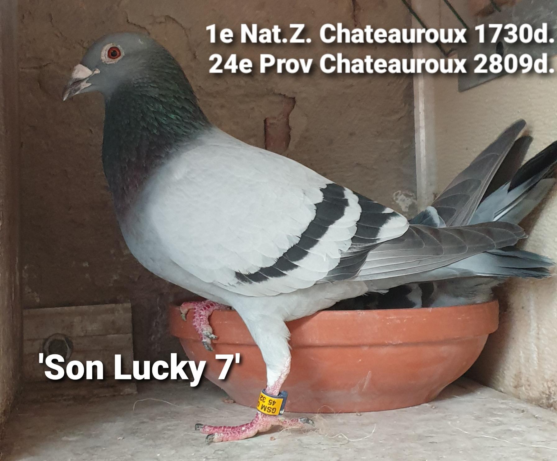 pitts-goeteyn-annick-pitts-be22-4131131-son-lucky-7-foto-bak.jpg