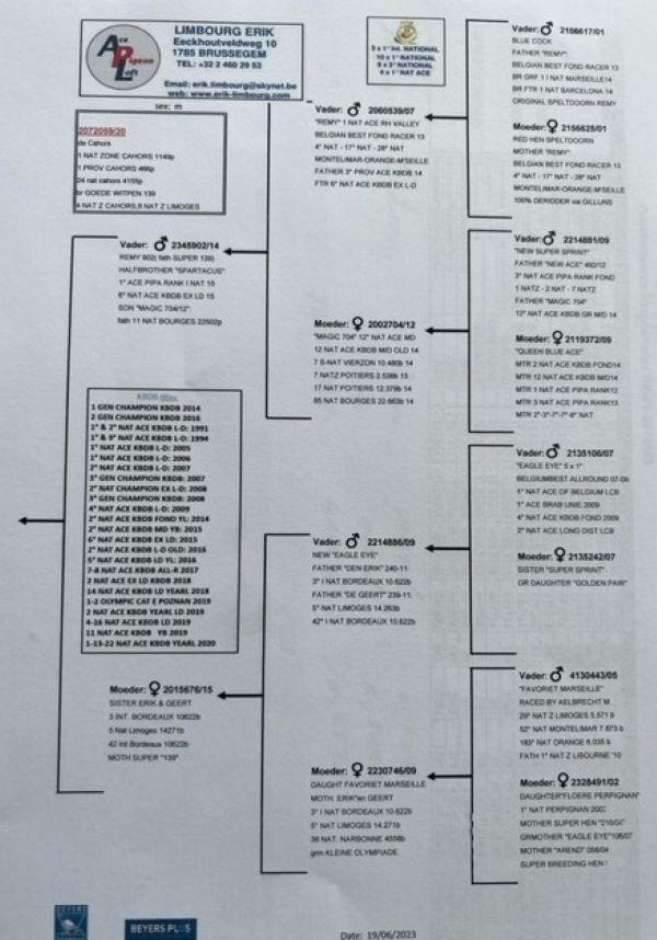 pitts-limbourg-erik-pitts-be20-2072059-059-pedigree.jpg