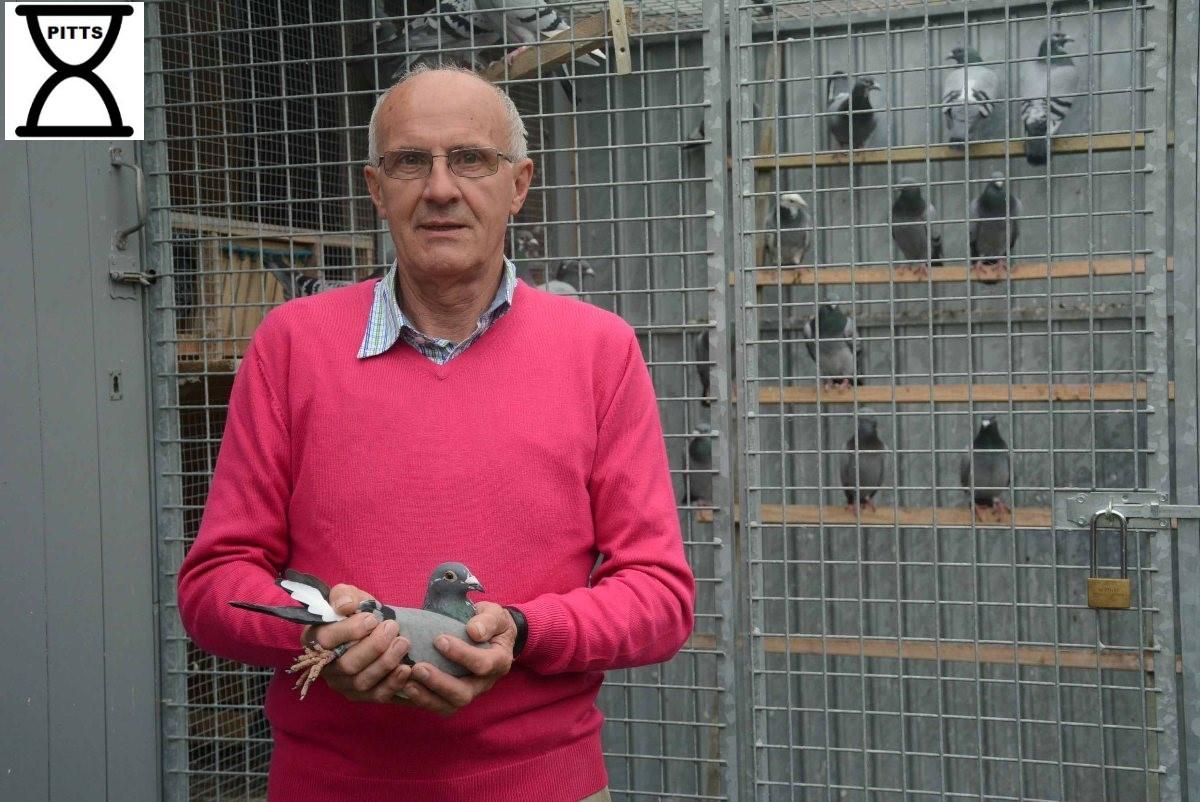 Ereprijs Noyon: Andre Van Haute (Moerzeke) PITTS AUCTIONS 22 !