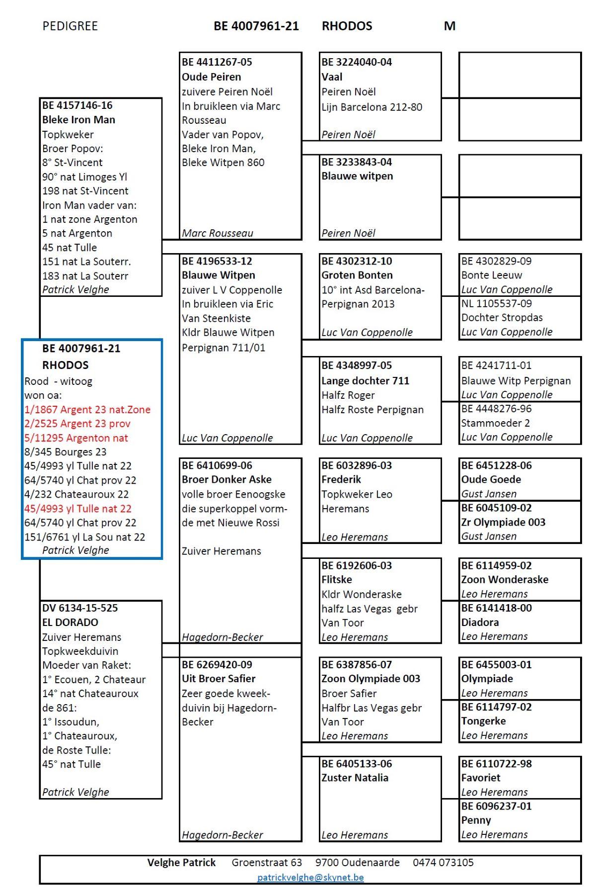 pitts-velghepatrick-pitts-be21-4007961-rhodos-pitts-pedigree.jpg