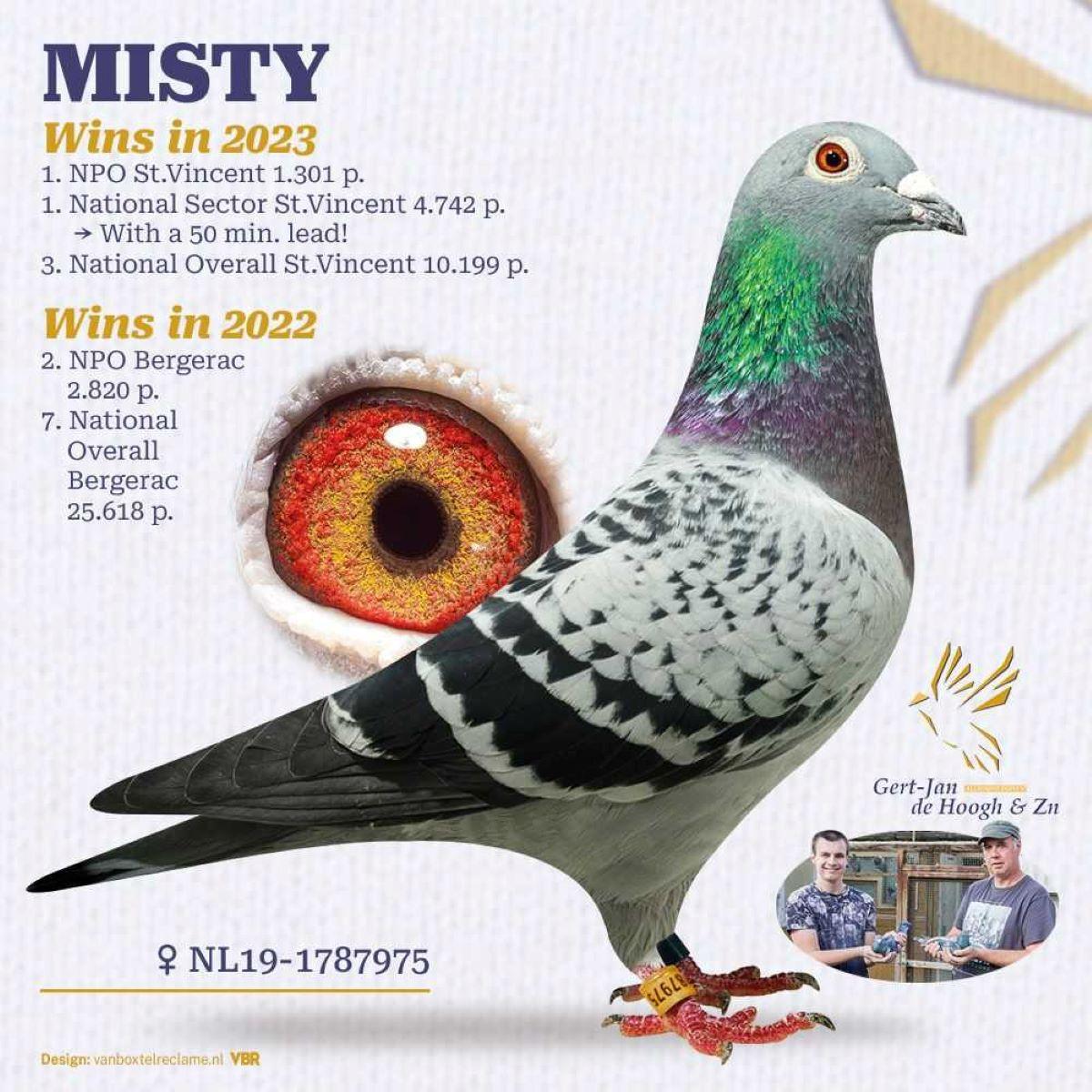 pitts-dehooghgertjan-pitts-nl1-1787795-misty-foto-kopie.jpg