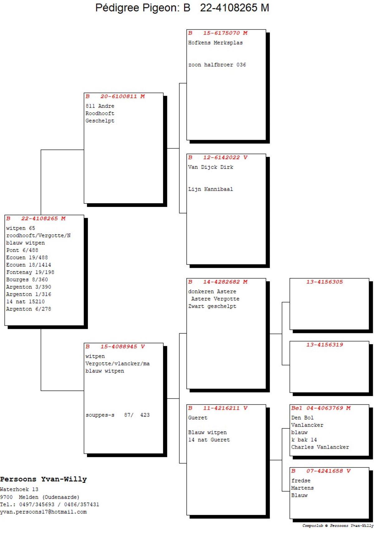 pitts-persoonsyw-pitts-be22-4108265-witpen-65-pedigree.jpg