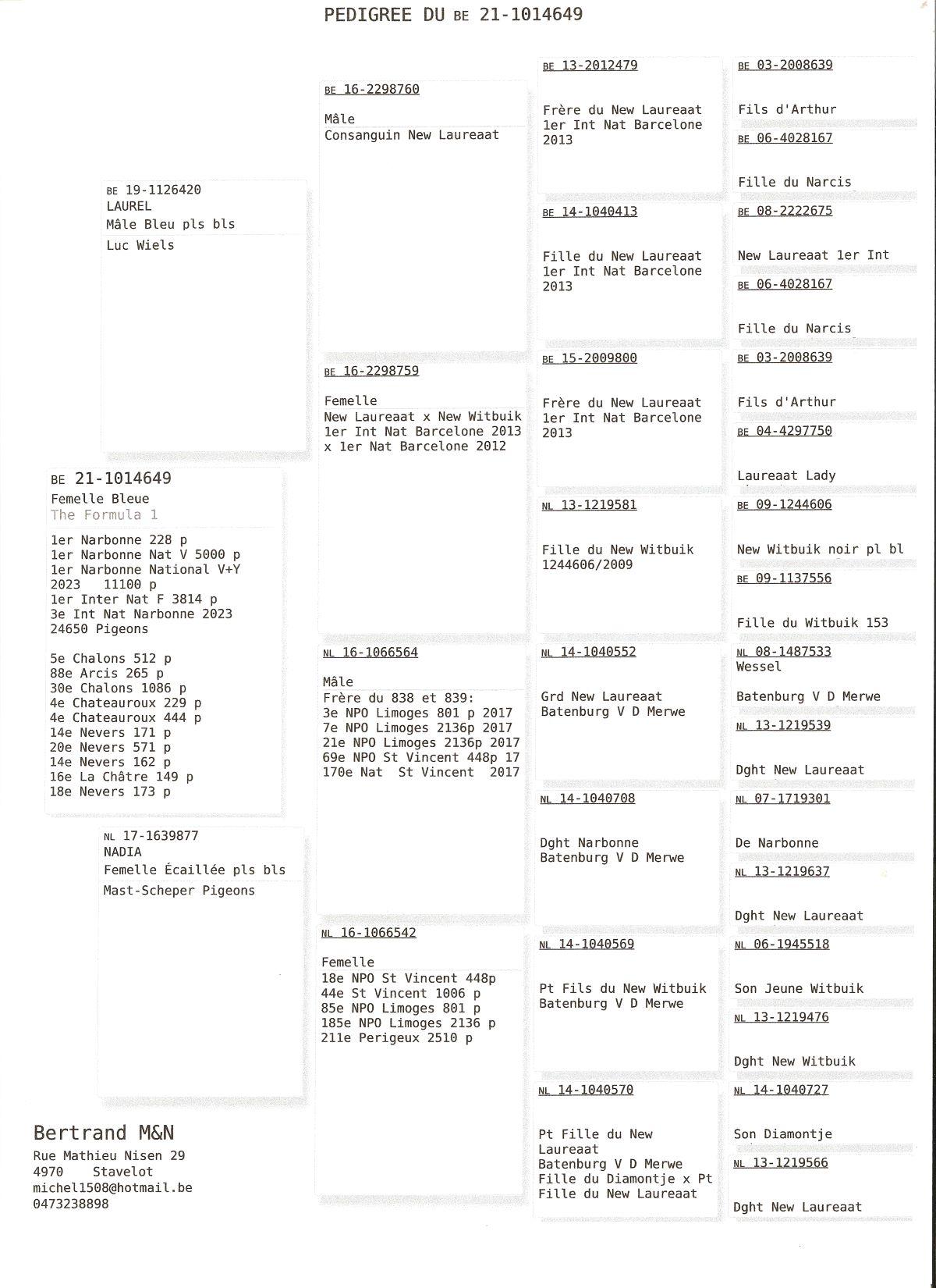 pitts-betrand-michel-pitts-be21-1014649-the-formula-1-pedigree.jpg