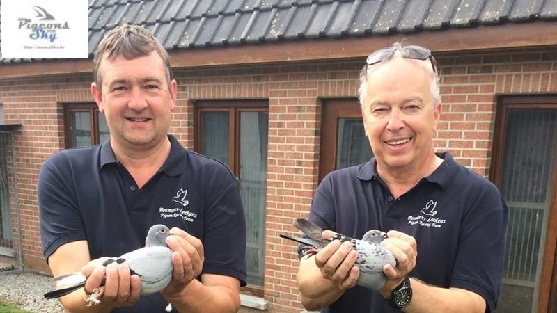 BE23-5057172 '172' 2x Top3 + Ereprijswinnaar Nanteuil >Bosmans-Leekens