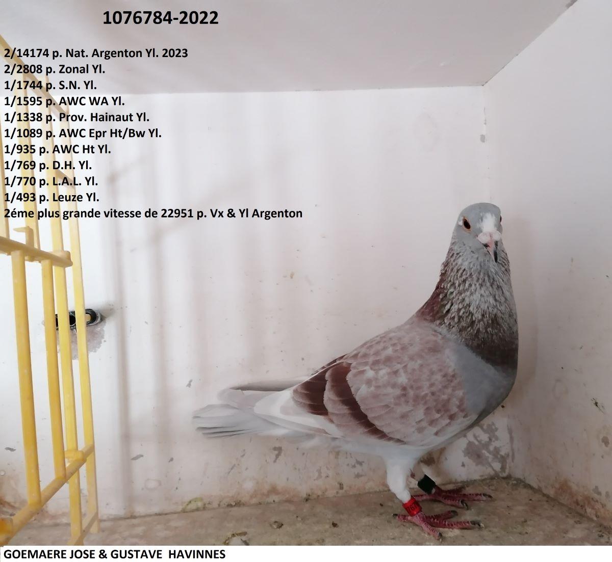 BE22-1076784 '784' 2e NAT+2e A3+1e WZ1 Argenton III 8/07/23 >Jose & Gustave Goemaere