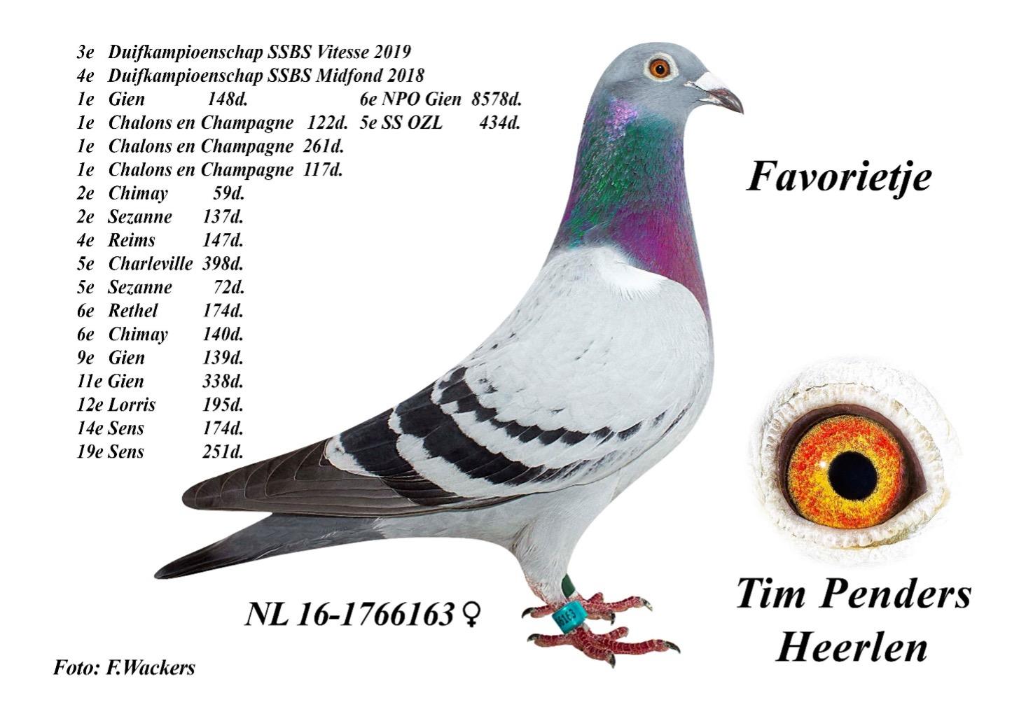 afbeelding11.jpg