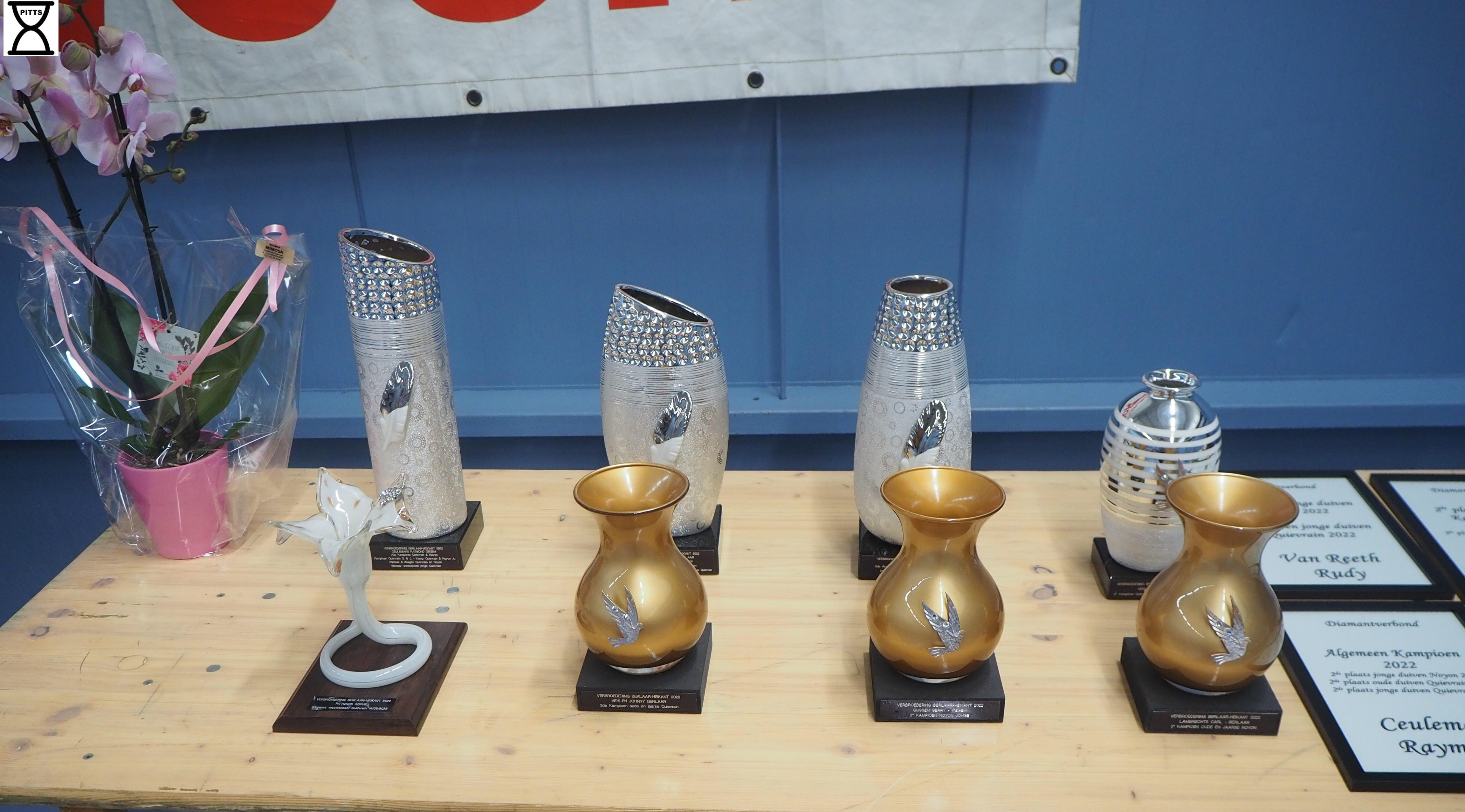 pitts-2022-11-19-berlaarheikant-pitts-trofees-1-pitts.jpg