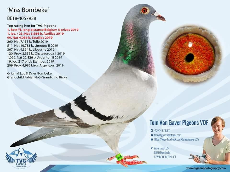 foto-5-miss-bombeke.jpg