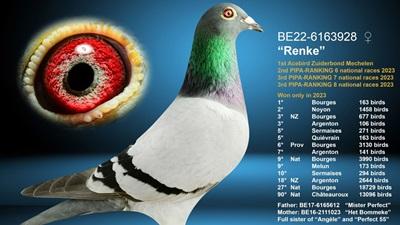 577858-pitts-be22-6163928-renke-pitts-foto-1-pitts-croppedxs.jpg