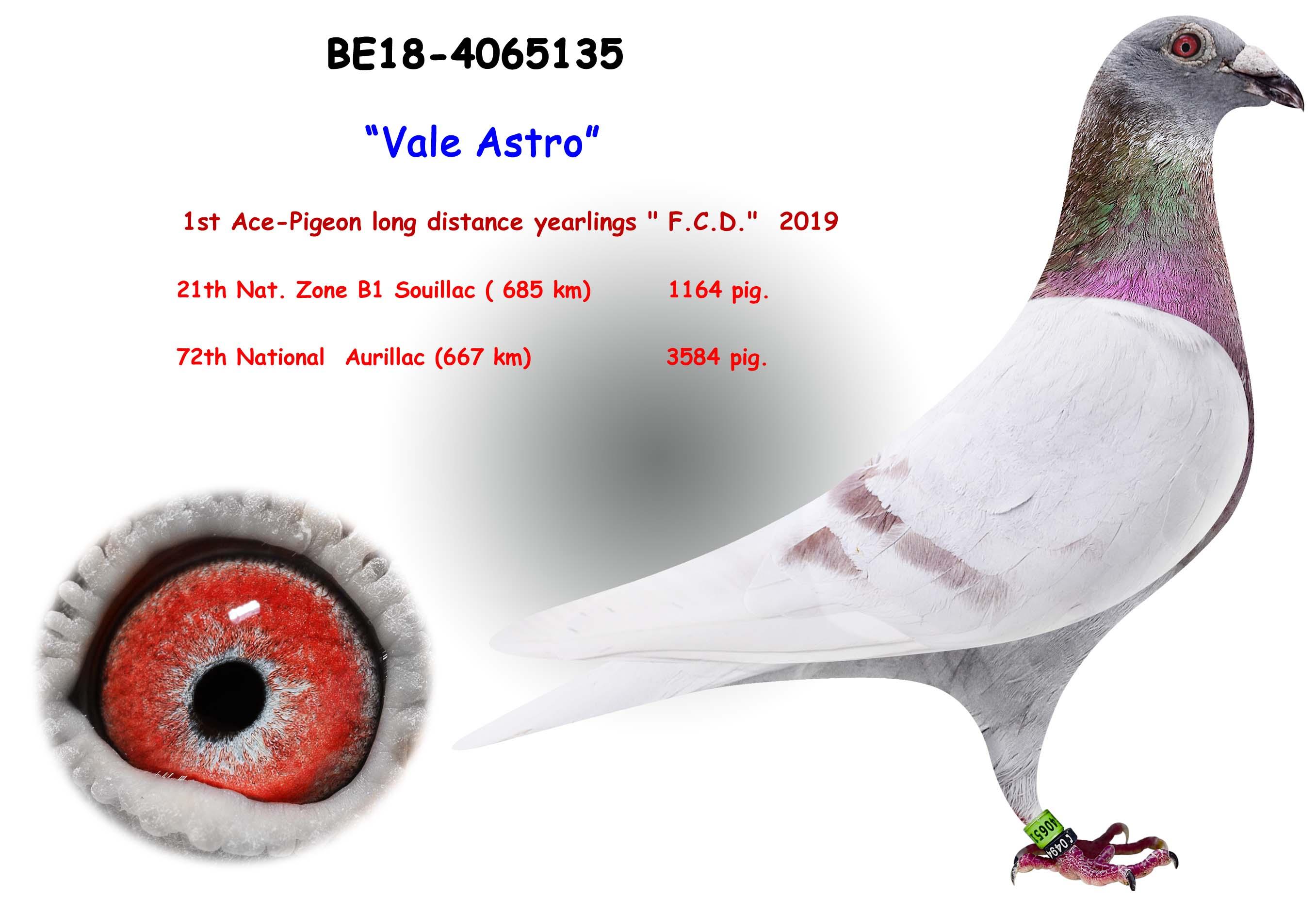be18-4065135-vale-astro.jpg