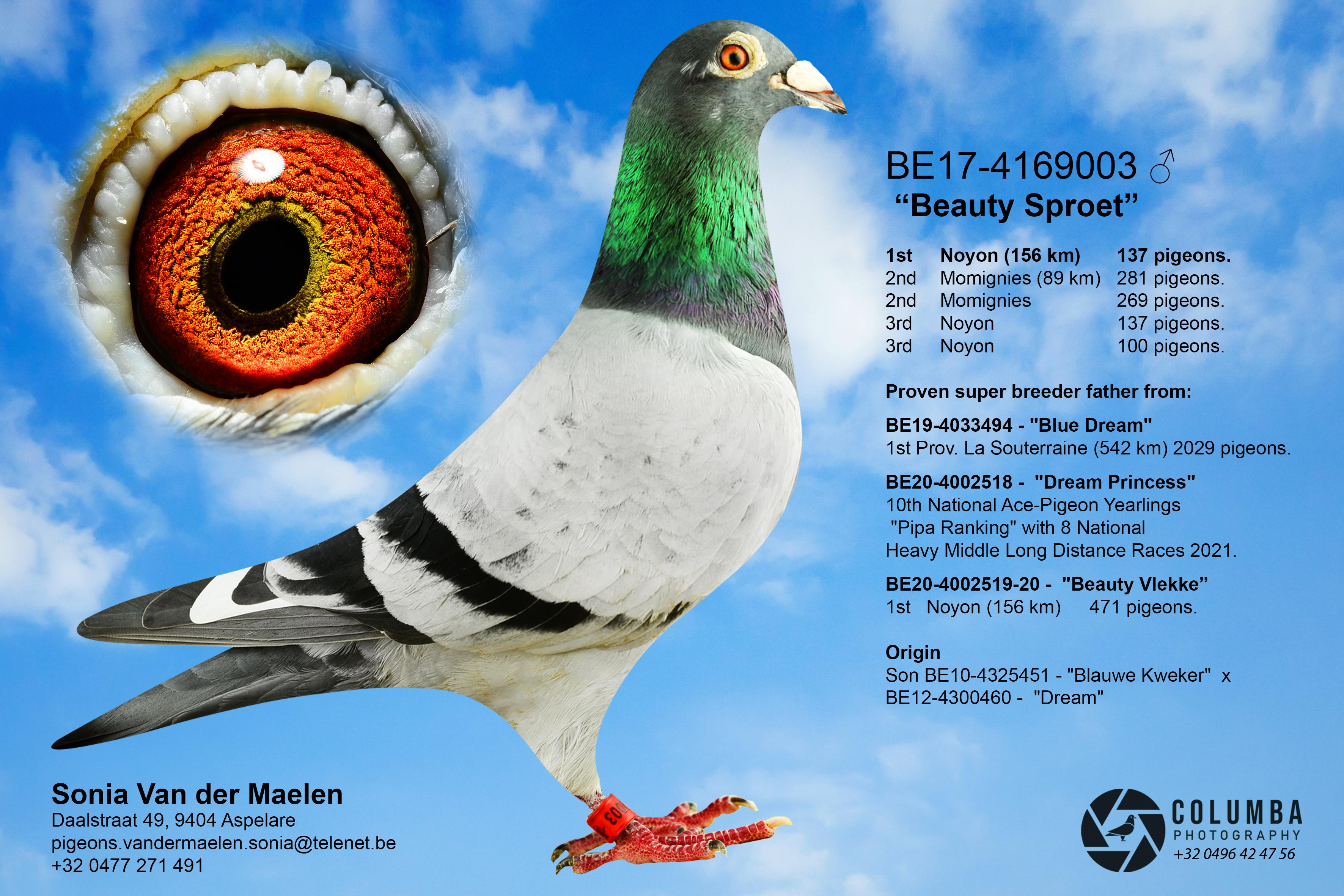 be17-4169003_blanktxtprint.jpg