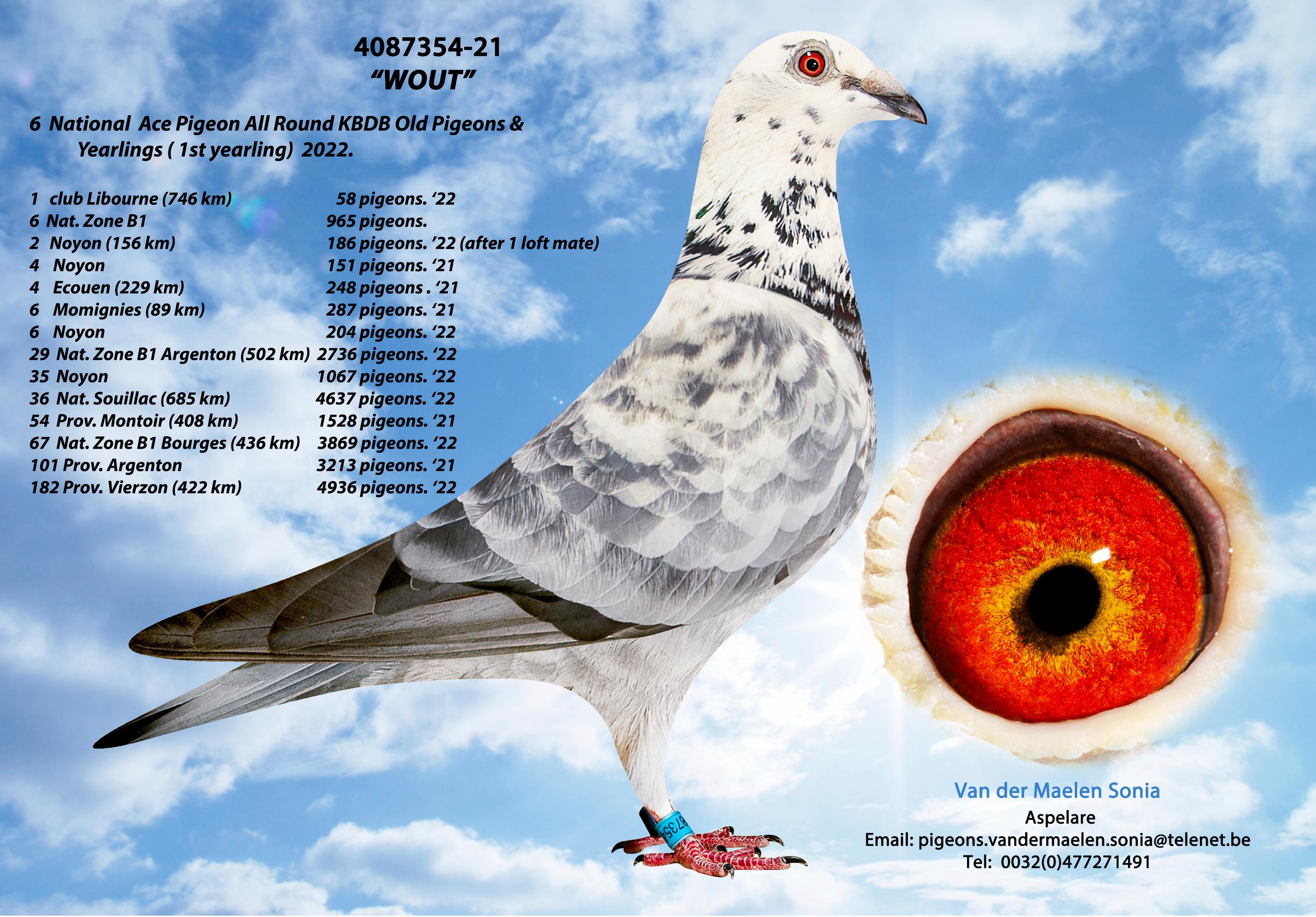 4087354-21-wout.jpg