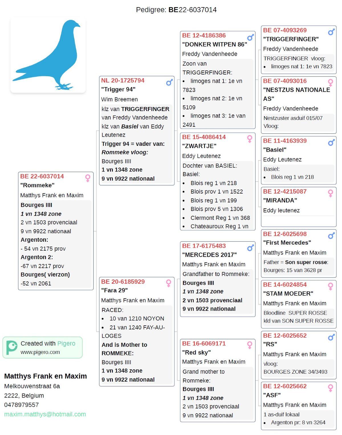 pitts-matthys-fm-pitts-be22-6037014-rommeke-pedigree.jpg