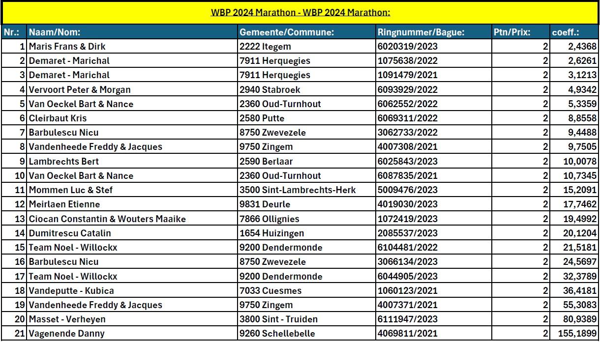 wbp-2024-marathon-wbp-2024-marathon.jpg