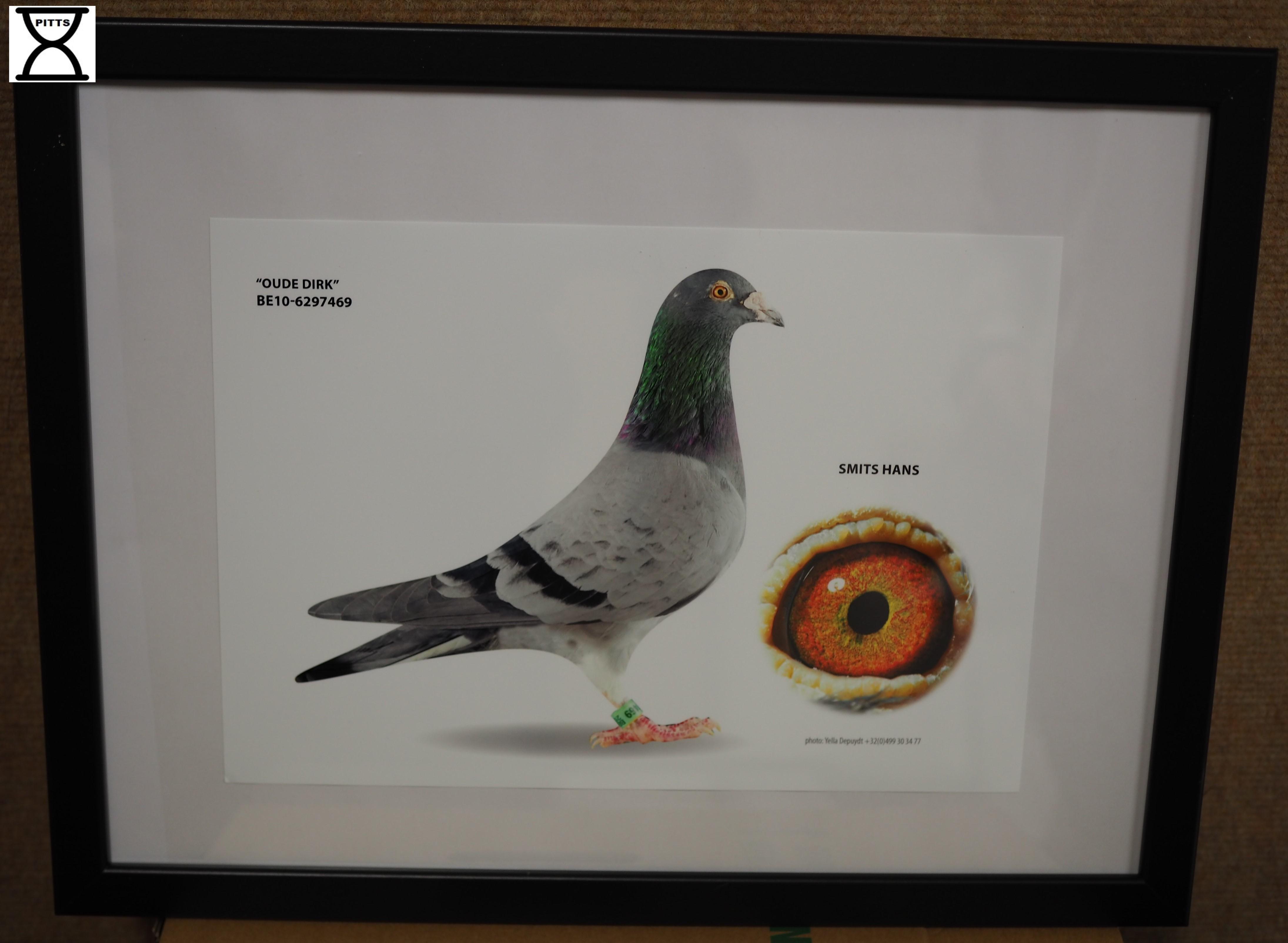 smits-hans-pitts-be10-6297469-oude-dirk-pitts-foto-1.jpg