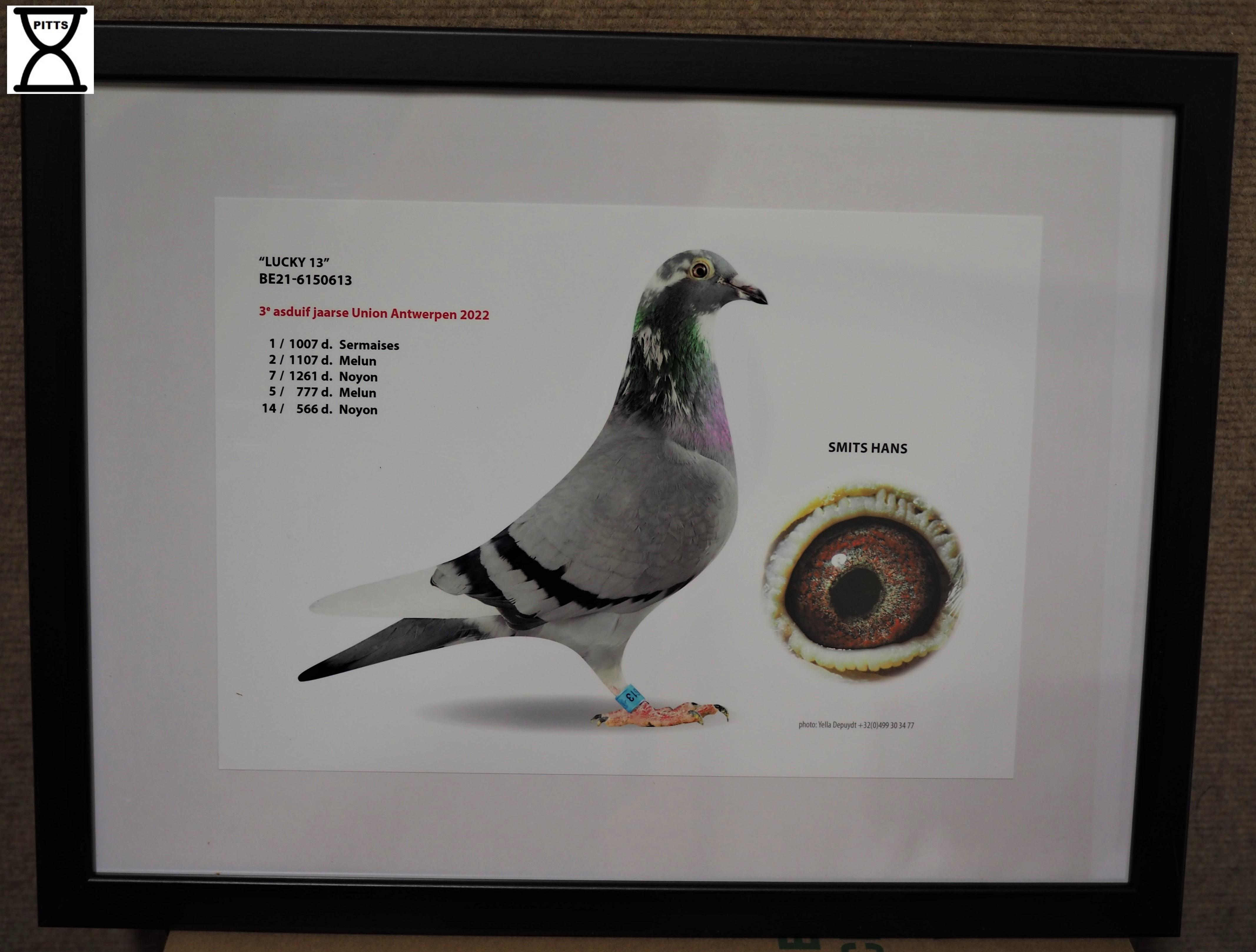 smits-hans-pitts-be21-6150613-lucky-13-pitts-foto-1.jpg